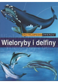 Wieloryby i delfiny Encyklopedia zwierząt