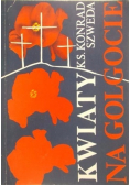 Kwiaty na Golgocie