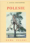 Polesie Cuda Polski reprint z 1934 r.