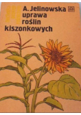 Uprawa roślin kiszonkowych