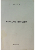 Na Śląsku i Zagłębiu