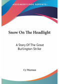 Snow On The Headlight