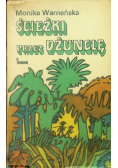 Ścieżki przez dżunglę