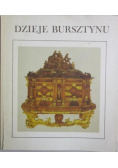 Dzieje bursztynu