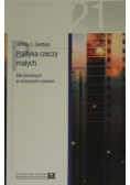 Polityka rzeczy małych