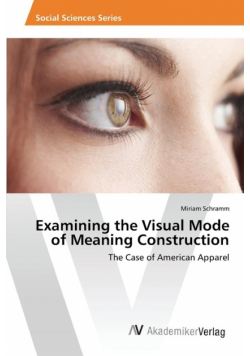 Examining the Visual Mode of Meaning Construction