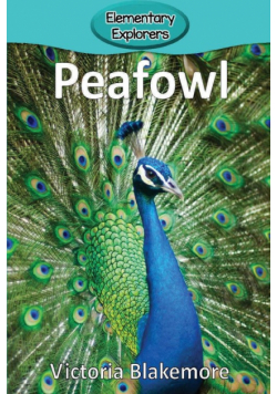 Peafowl