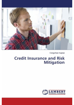 Credit Insurance and Risk Mitigation