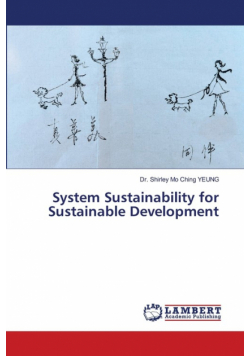 System Sustainability for Sustainable Development
