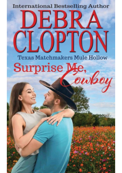 Surprise Me, Cowboy