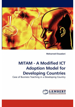 MITAM - A Modified ICT Adoption Model for Developing Countries