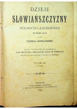 Dzieje słowiańszczyzny Tom III 1892 r