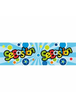 Bidon 300ml Sebastian