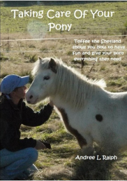 Taking Care Of Your Pony
