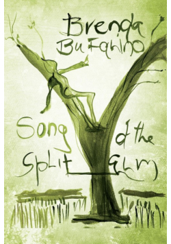 Song of the Split Elm