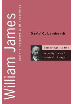 William James and the Metaphysics of Experience
