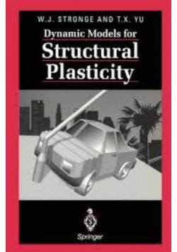 Dynamic Models for Structural Plasticity
