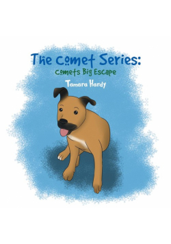 The Comet Series