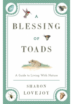 A Blessing of Toads