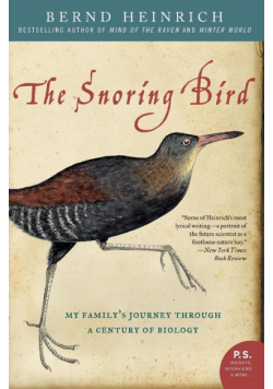 Snoring Bird, The