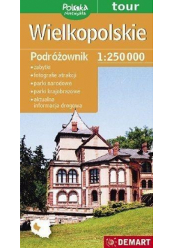 Mapa - Wielkopolskie Podróżownik 1:250 000