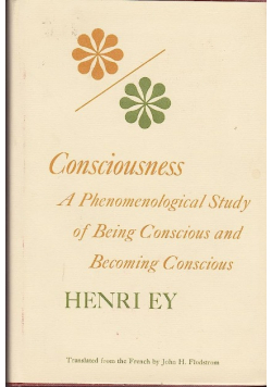 Consciousness A Phenomenological Study of Being Conscious and Becoming Conscious