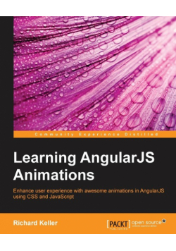 Learning AngularJS Animations