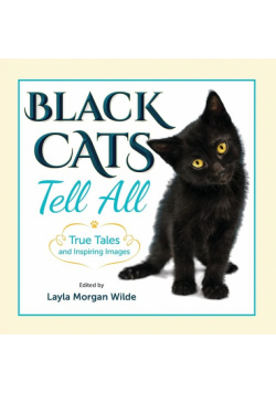 Black Cats Tell All