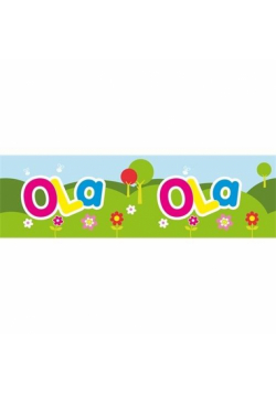 Bidon 300ml Ola