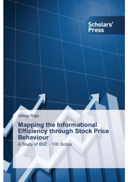 Mapping the Informational Efficiency through Stock Price Behaviour