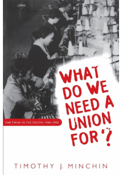 What Do We Need a Union For?