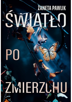 Światło po zmierzchu