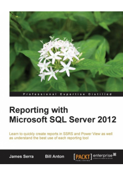 Reporting with Microsoft SQL Server 2012