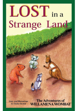 Lost In A Strange Land