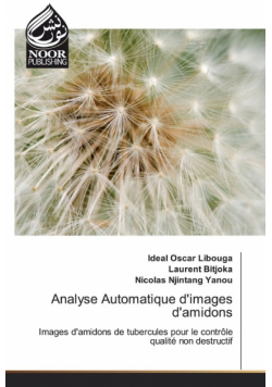 Analyse Automatique d'images d'amidons
