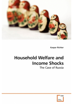 Household Welfare and Income Shocks