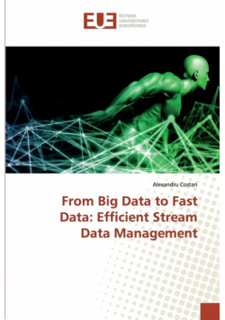 From Big Data to Fast Data