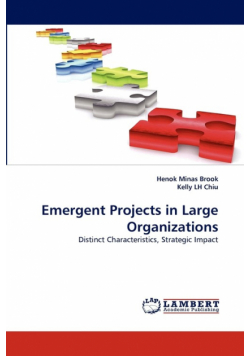 Emergent Projects in Large Organizations