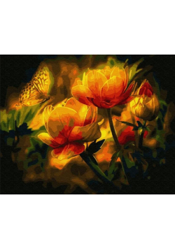 Malowanie po numerach - Magiczne tulipany 40x50cm