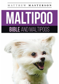 Maltipoo Bible And Maltipoos