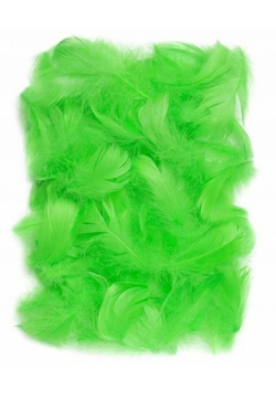 Piórka zielone 5-12cm 10g
