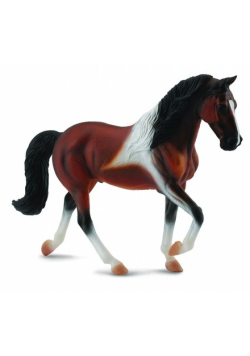 Klacz rasy Stallion Bay Pinto XL