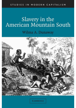 Slavery in the American Mountain South