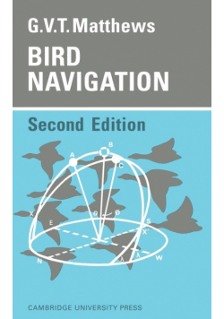 Bird Navigation