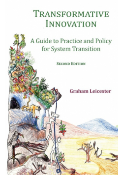Transformative Innovation