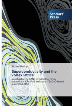 Superconductivity and the vortex lattice