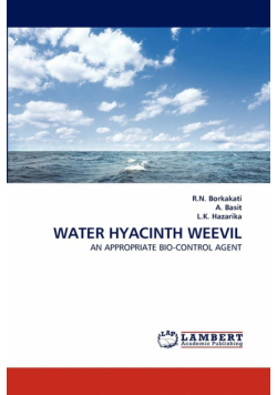 Water Hyacinth Weevil