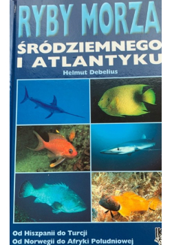 Ryby morza Śródziemnego i Atlantyku