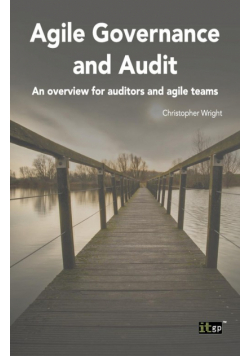 Agile Governance and Audit