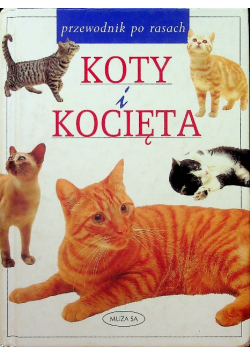 Koty i kocięta